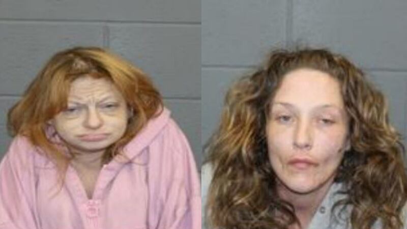 Connecticut authorities say Heather Anderson and Shannon Gritzbach have been charged with...