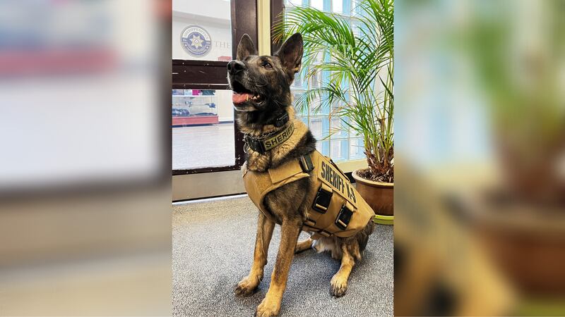 The Jefferson County Sheriff’s Office is grieving the loss of K-9 Graffit, who they say lost...