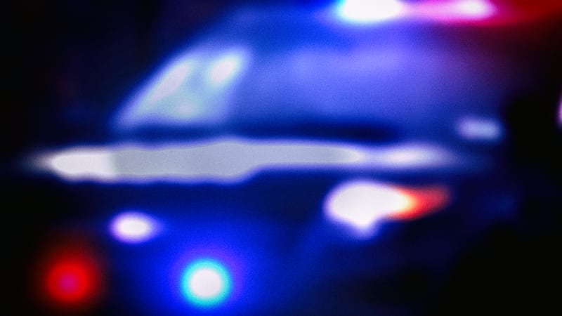 Police light
