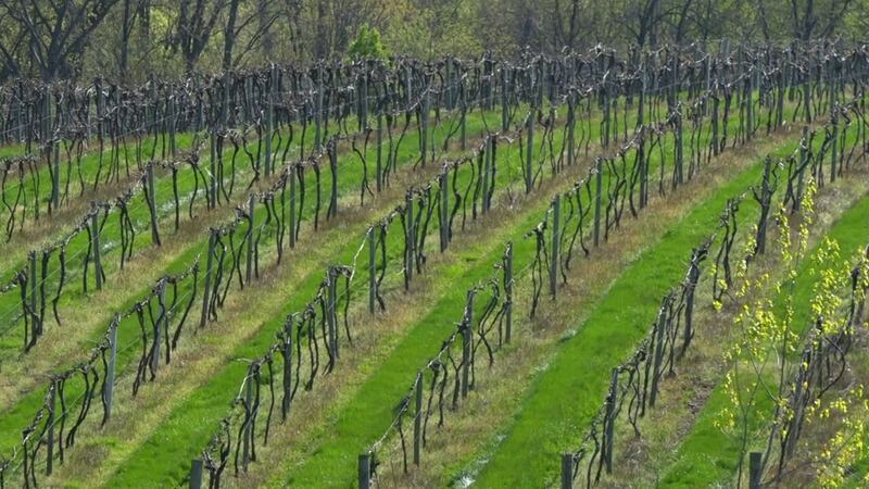 Progress being made on $100 million investment in St. Charles County wine country