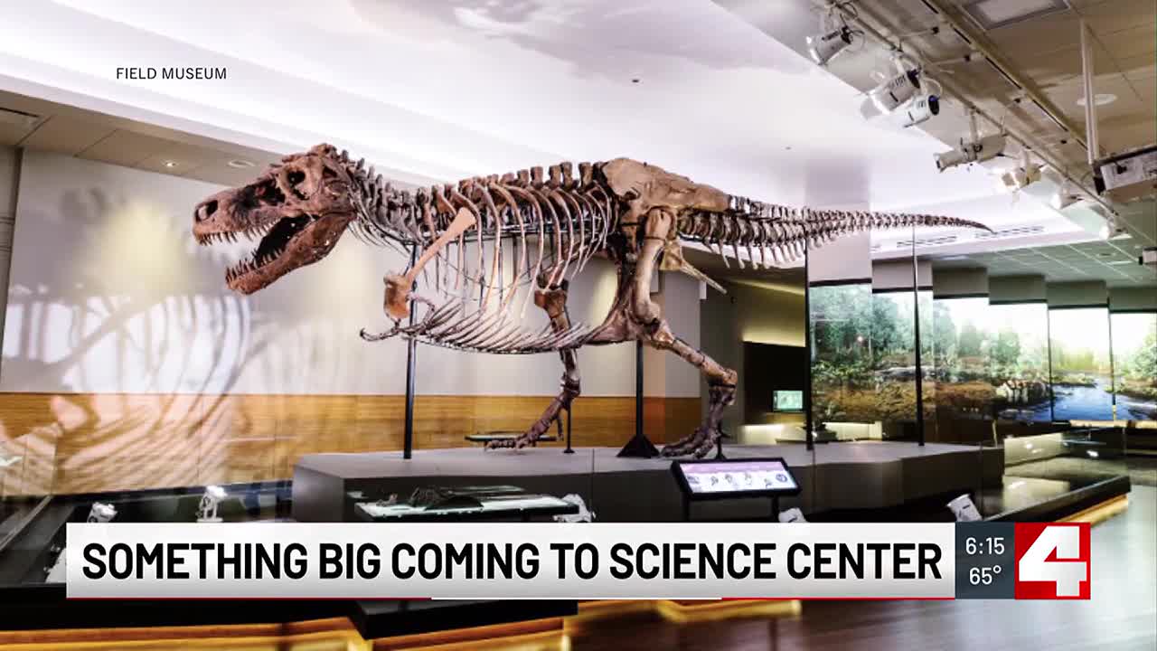 T-Rex 'SUE' coming to St. Louis Science Center? - Vimarsana News