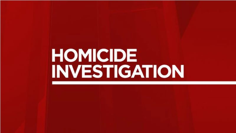 Homicide investigation generic