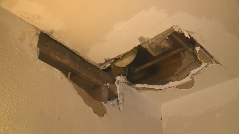 Black mold, leaking ceilings, even dead rats coming up from the drains. These are real issues...