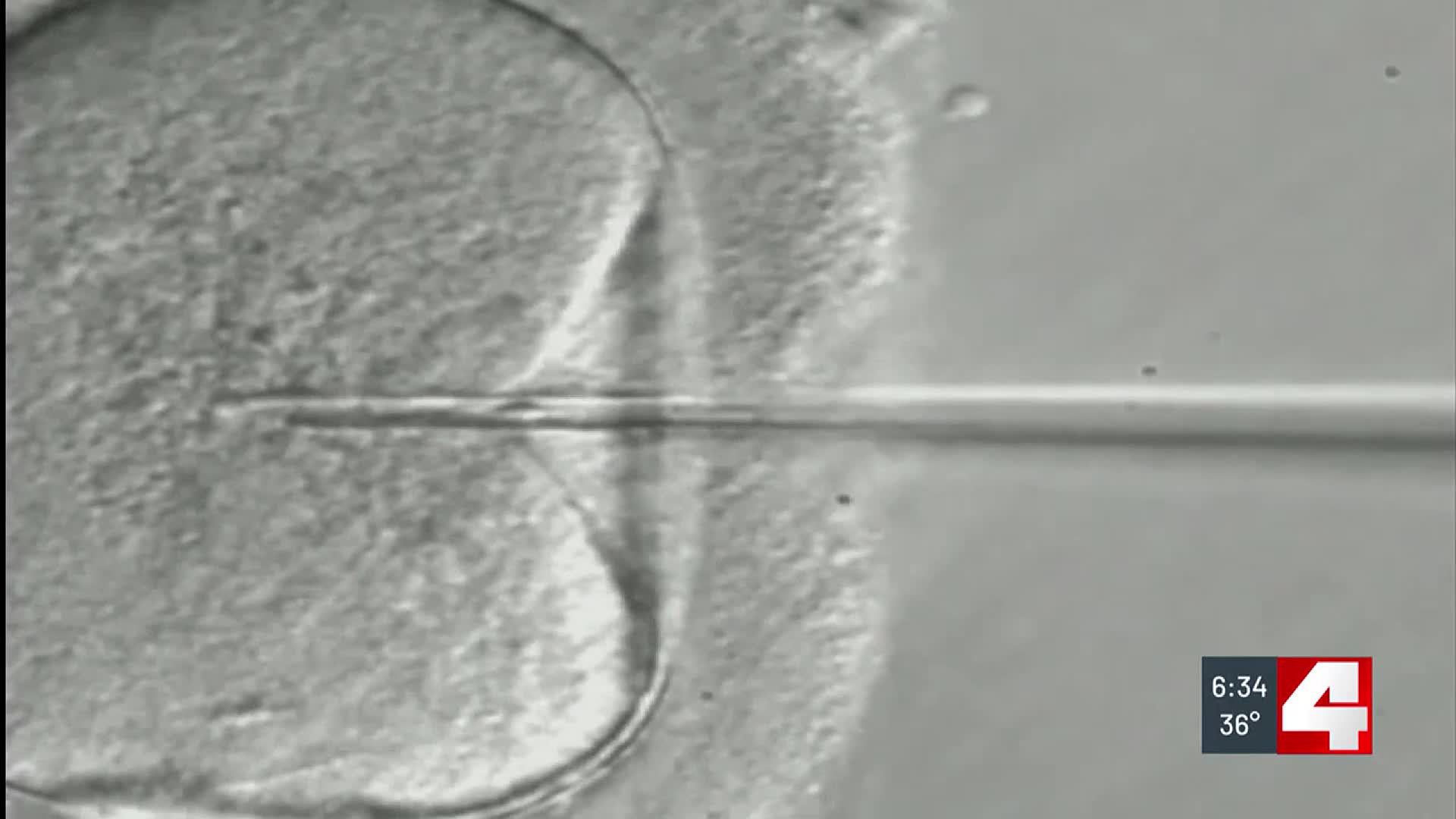 St. Louis infertility doctor says state law protects physicians from criminal liability, others fear that could change - Vimarsana News